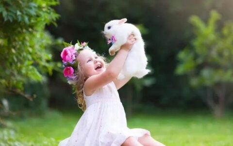 为什么兔子不喜欢被抱着？