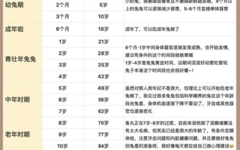 宠物兔子的年龄该怎么换算？（宠物兔年龄换算表）