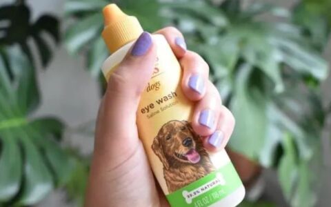 狗狗眼睛发红、发痒该怎么治疗？