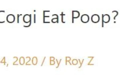 柯基犬为什么爱吃屎？