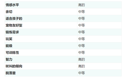 博美犬（Pom）的特征及护理技巧