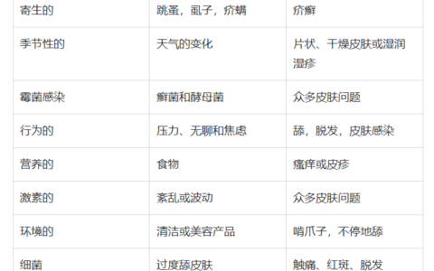 狗狗常见皮肤干燥问题及解决方案