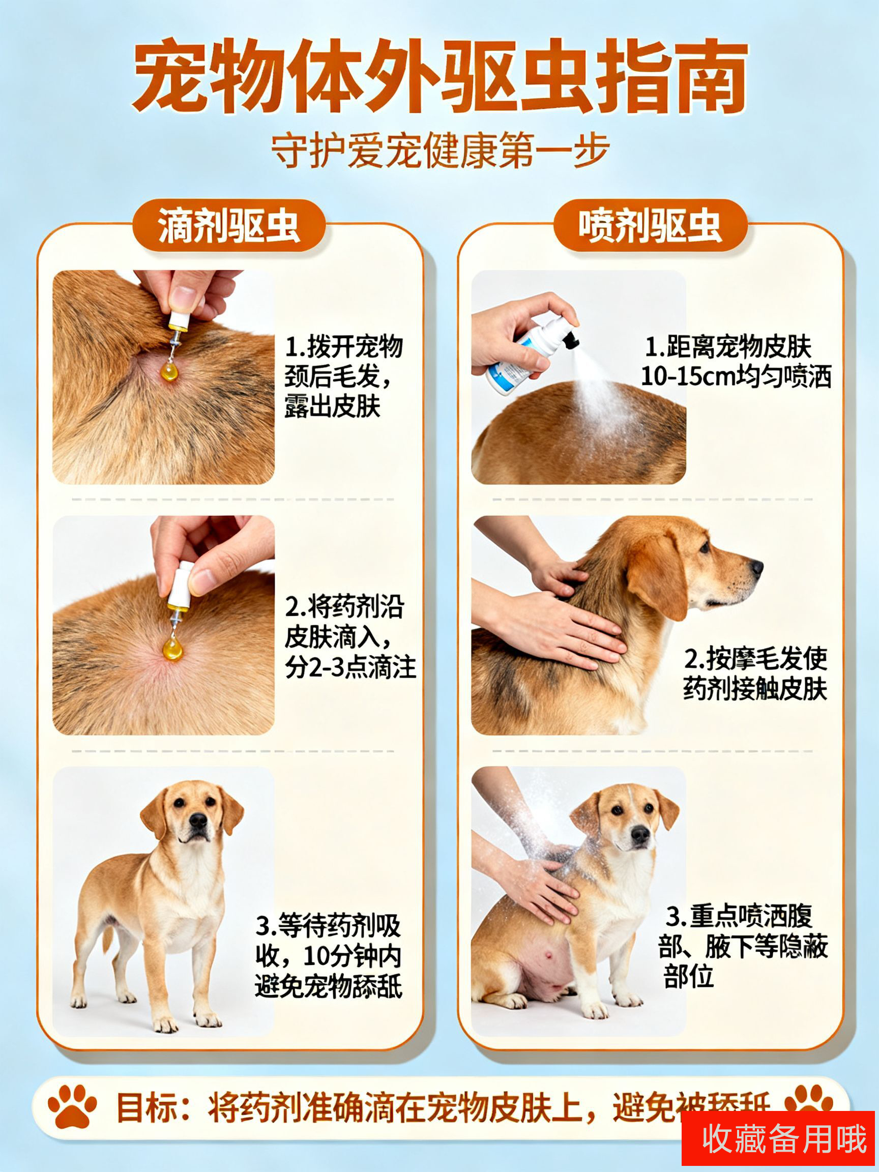 如何给宠物狗狗和猫咪驱虫，保护宠物的健康呢？