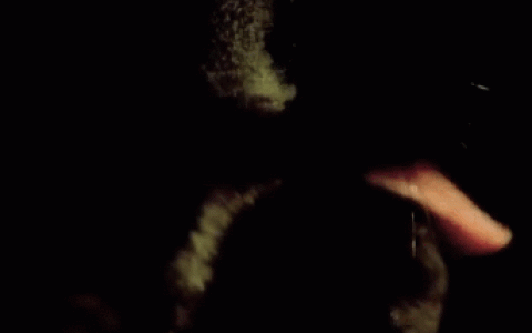 为什么猫咪吃完饭会舔自己？（猫咪舔毛的原因是什么）