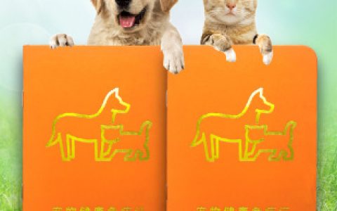 如何给宠物办理健康证明？（宠物健康证明办理全方位攻略）