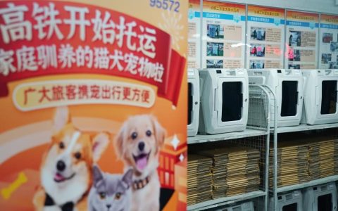 宠物托运怎么办理？宠物托运全攻略来了