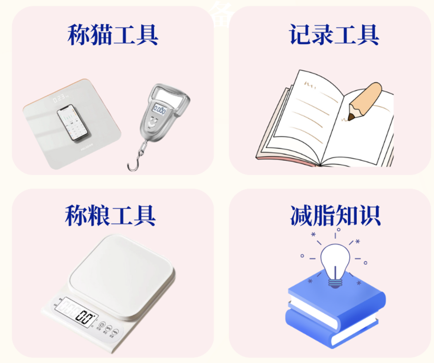 猫咪太胖了该怎么办？如何给猫咪减肥？