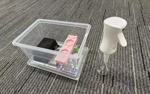 新手如何饲养睫角守宫？（睫角守宫饲养全攻略）