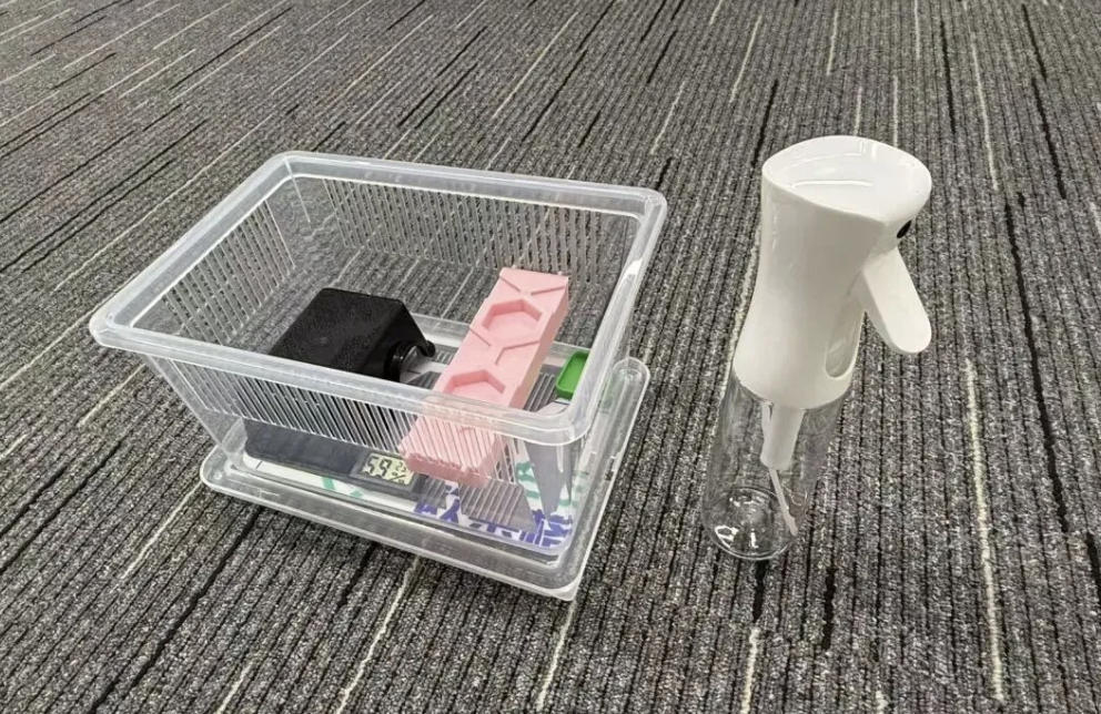 新手如何饲养睫角守宫？（睫角守宫饲养全攻略）