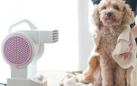 狗狗冬天要不要洗澡？（狗狗冬天洗澡注意事项）