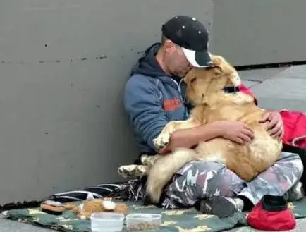 狗狗的忠诚感人故事