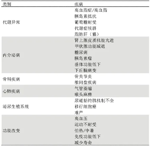 如何合理控制猫咪的身材？