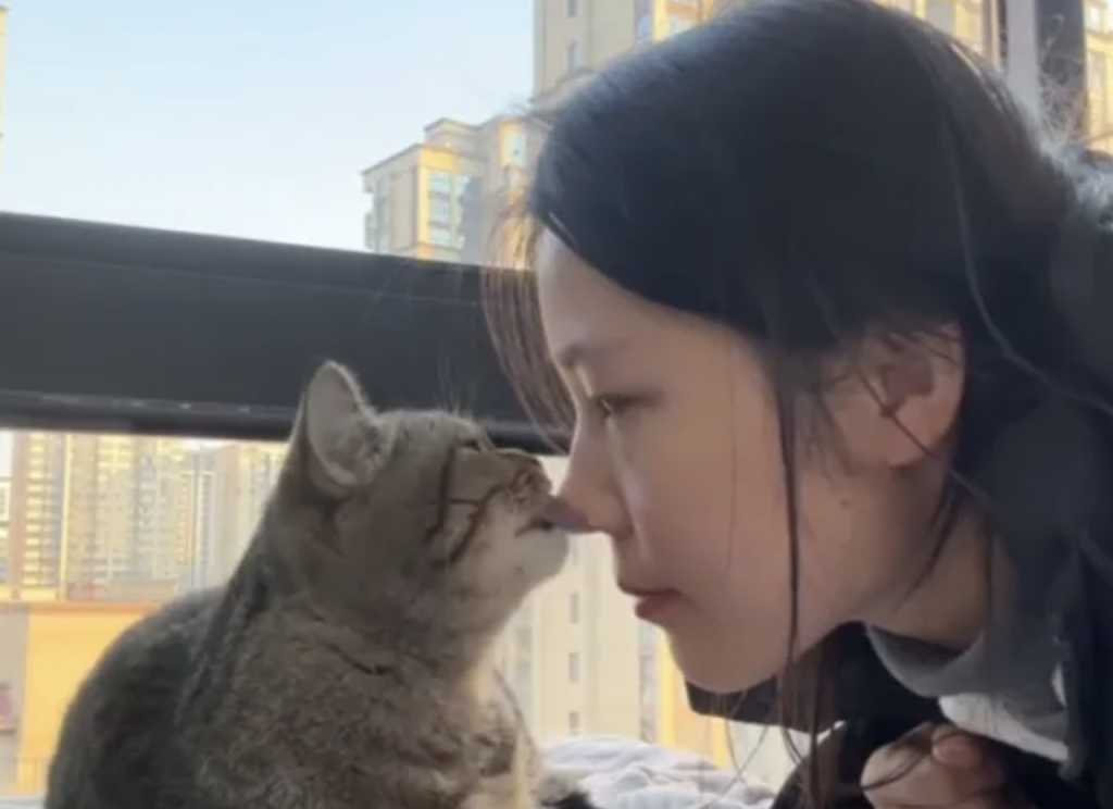 猫咪为什么要舔人，舔人对人真的好吗？