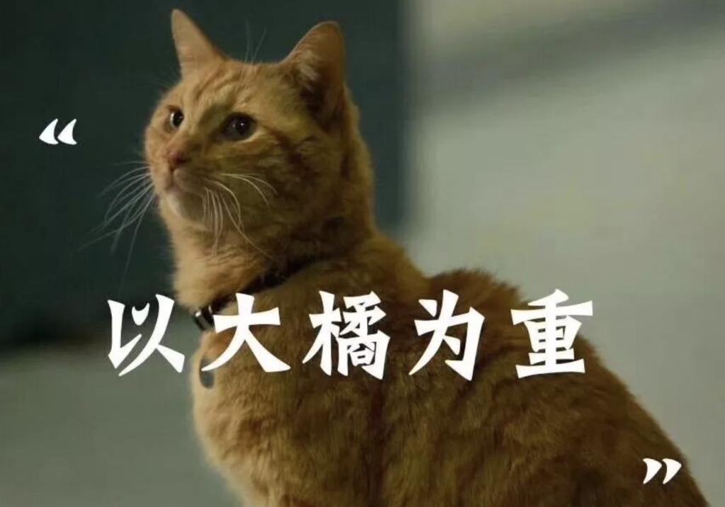 猫咪或者狗狗得了胰腺炎该怎么办？