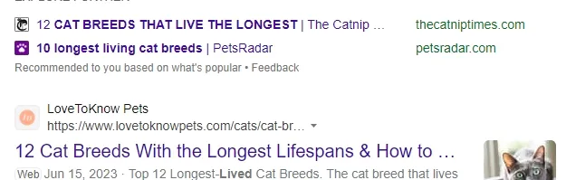 猫咪一般能活多久？猫咪死亡原因和寿命统计分析