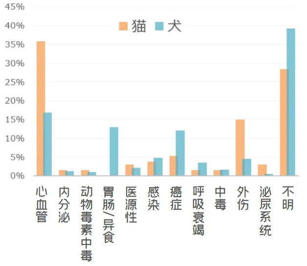 猫咪一般能活多久？猫咪死亡原因和寿命统计分析