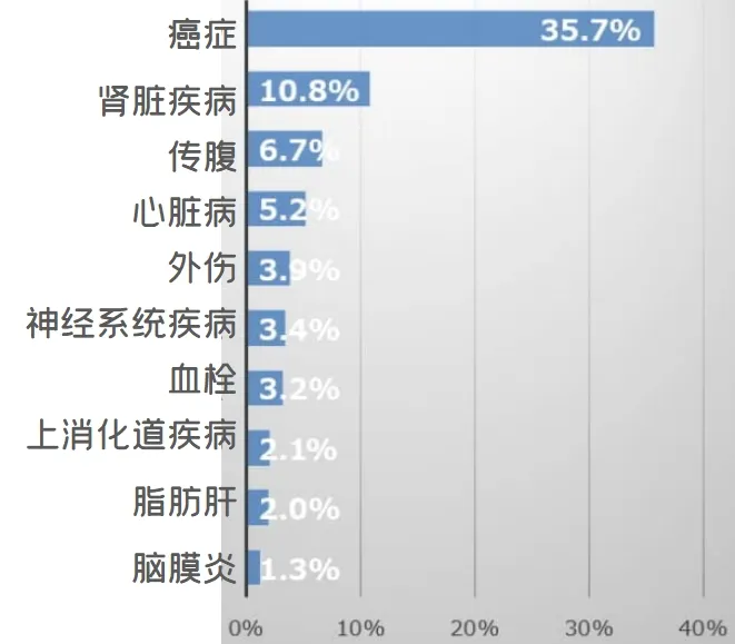 猫咪一般能活多久？猫咪死亡原因和寿命统计分析