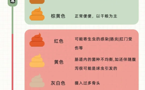 如何通过猫咪粑粑进行健康自查！猫咪常见的三种异常便便