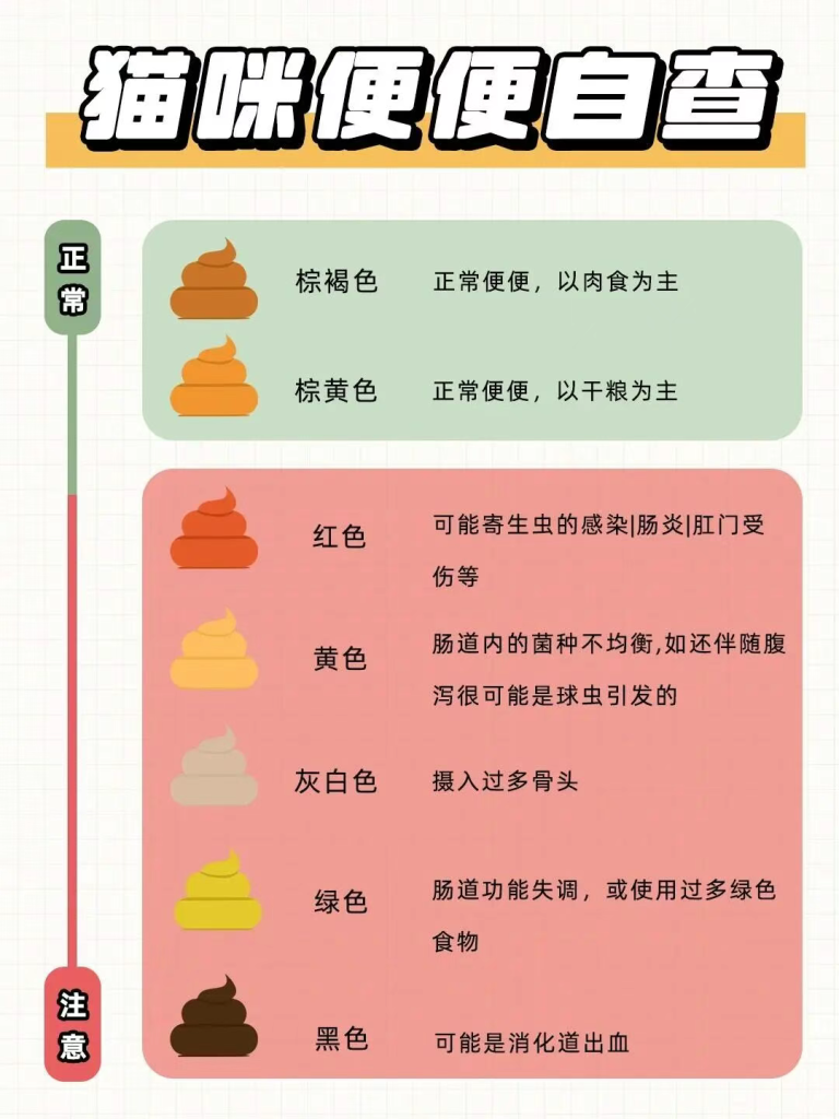 如何通过猫咪粑粑进行健康自查！猫咪常见的三种异常便便