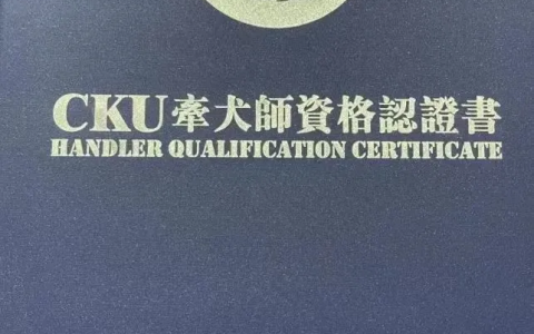 宠物行业有哪些证书可以考？证书的含金量如何？