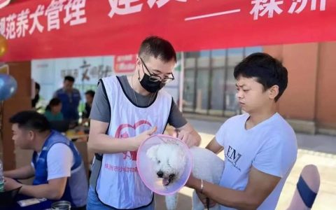 湖南株洲市养犬管理条例实施，株洲养狗怎么办证？