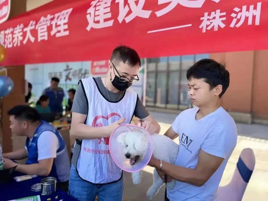 湖南株洲市养犬管理条例实施，株洲养狗怎么办证？