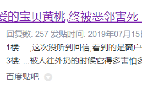 养鹦鹉请量力而行，切不可任性啊