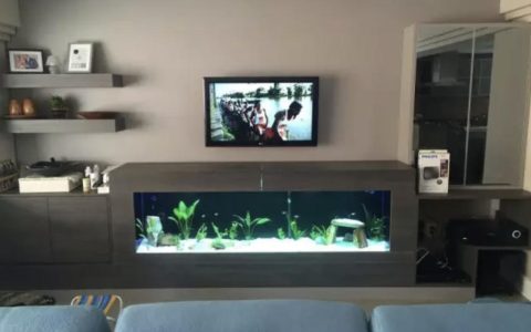 养鱼有什么忌讳？（养鱼也有忌讳）