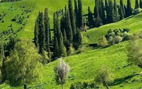 如何应对狗狗护食行为？这些方法让宠物不再敌对