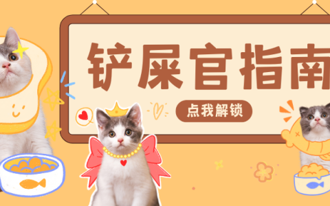 养猫前的必修课：了解这些再做决定，对猫负责也对自己负责