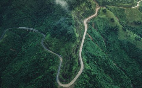 新手养锦鲤前必看：5个关键点搞清楚，入坑不后悔