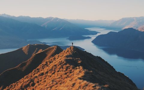 火山石在鱼缸里有什么用？正确使用火山石的4大技巧与注意事项