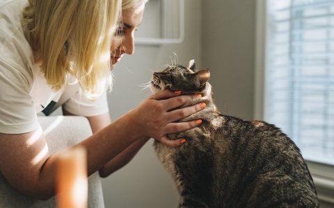 宠物医院扩张与倒闭并存：2025年宠物医疗行业深度分析