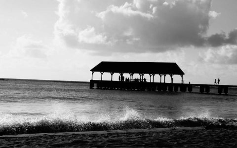 狗狗不会定点上厕所怎么训练？三步法轻松养成定时如厕好习惯