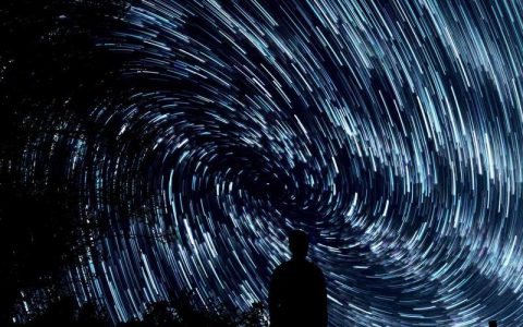 法斗夏天怕热怎么办？三种实用降温方法让法斗安全度夏