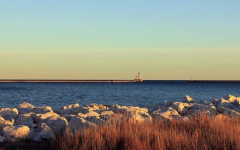 吉娃娃怎么养才好？饲养护理与训练完整建议