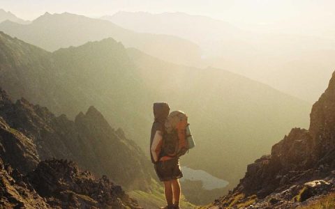 柯基犬怎么养？脊椎保护与科学饲养全攻略