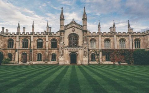 拉布拉多怎么养？喂养运动健康管理全面指南