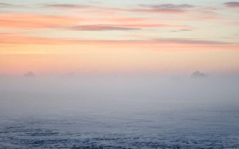 泰迪犬怎么养？新手铲屎官必看的科学养护全攻略