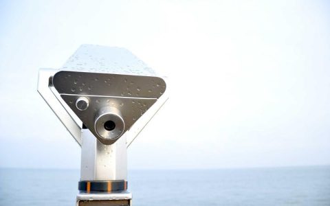 狗狗耳朵痒一直挠怎么办？三种家庭处理方法与就医指南