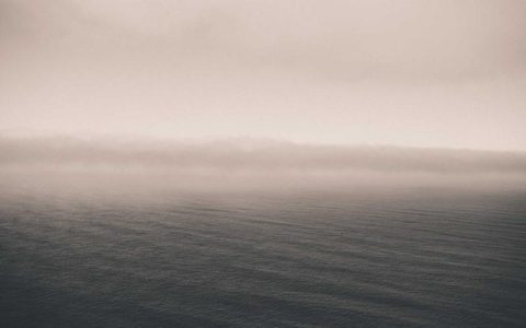 狗窝蚊子太多怎么办？三种安全有效的驱蚊方法保护爱犬健康