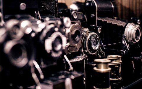 家有小孩和柴犬怎么相处？3种场景处理方法父母必看