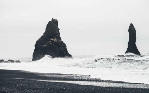 刚出生的小狗不吃奶怎么办？原因分析与紧急应对方法