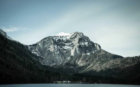 柴犬需要多少运动量？出现这6个信号说明运动严重不足