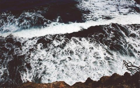 柴犬冬天喂食指南：冬季要加粮吗？热食好不好？5大问题一次解答