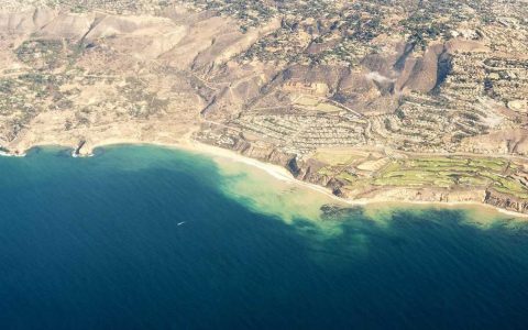 柴犬飞机耳是什么意思？一文读懂柴犬耳朵传递的7种情绪信号