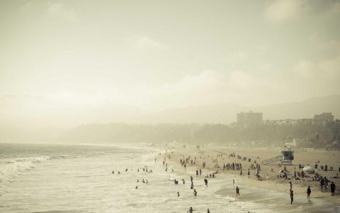 柴犬常见病有哪些？髋关节病、皮肤病和癫痫的早期识别与预防