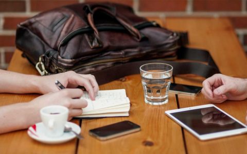 养柴犬前必看：空间、物品、食物和关节健康5大核心考量