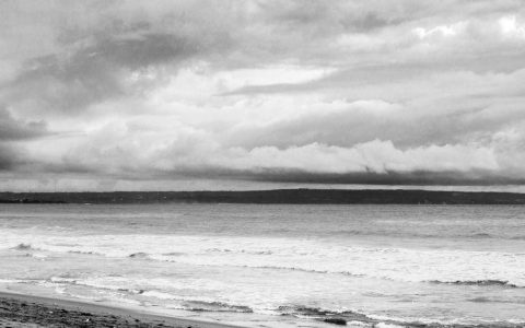 柴犬运动不足的6大信号：发现这些表现就该带它出门了