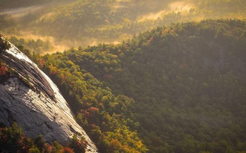 柴犬微笑真的是开心吗？读懂柴犬情绪的5个真实表现